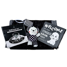 Load image into Gallery viewer, black and white baby gift, black and white baby gift box, black and white baby gift set, high contrast baby gift set, high contrast baby gift, baby shower gift box, baby shower gift, baby shower gift set, baby gifts, baby gift box, newborn gift box, newborn gift set, newborn gift, high contrast gift, baby shower gift idea, new baby gift, black and white baby toys, high contrast baby toys, gender neutral baby gift, unisex baby gift box, unisex baby gift, unisex baby shower gift,
